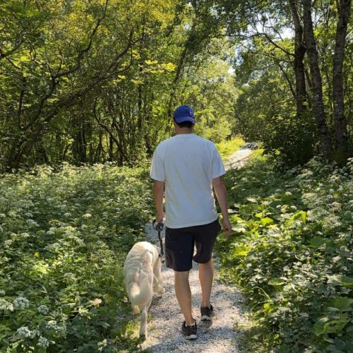 ed308d96-2aa6-4d15-aed1-54d67aa48582